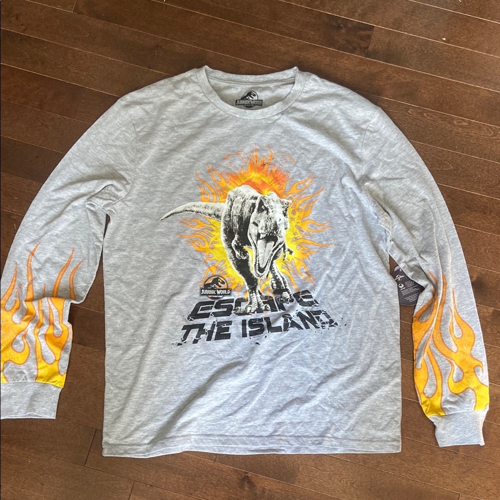 Gray Long Sleeve Dinosaur Graphic Tee